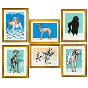 Moris jung collection of dogs