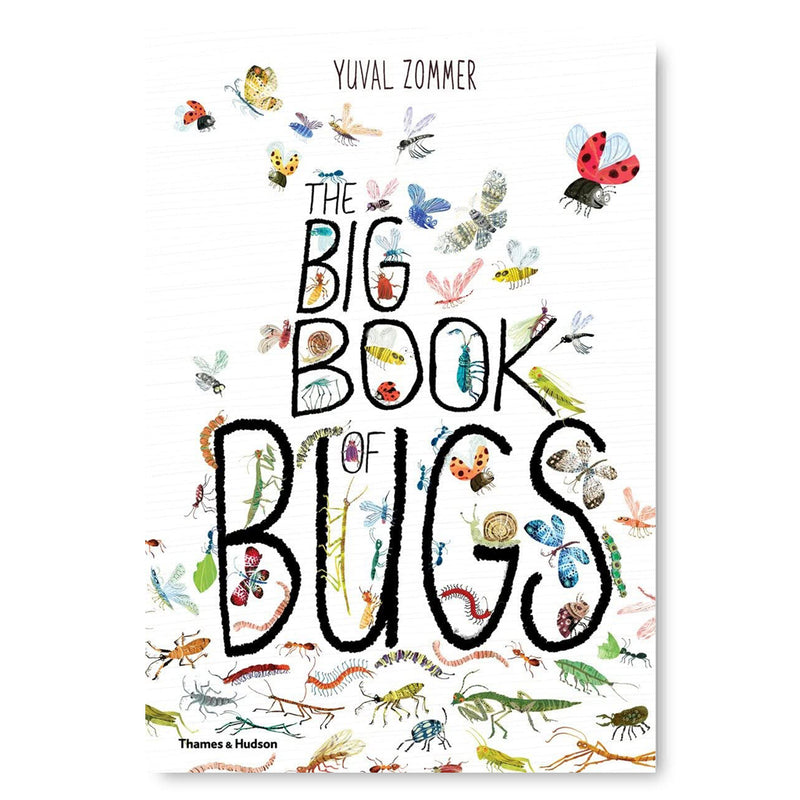 The Big Book of Bugs (The Big Book series) Book