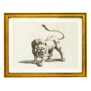 The Lion by Johan Teyler art print