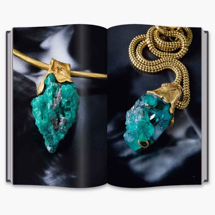 Untamed Encounters: Contemporary Jewelry from Extraordinary Gemstones BOOK