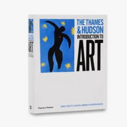 The Thames & Hudson Introduction to Art /anglais BOOK