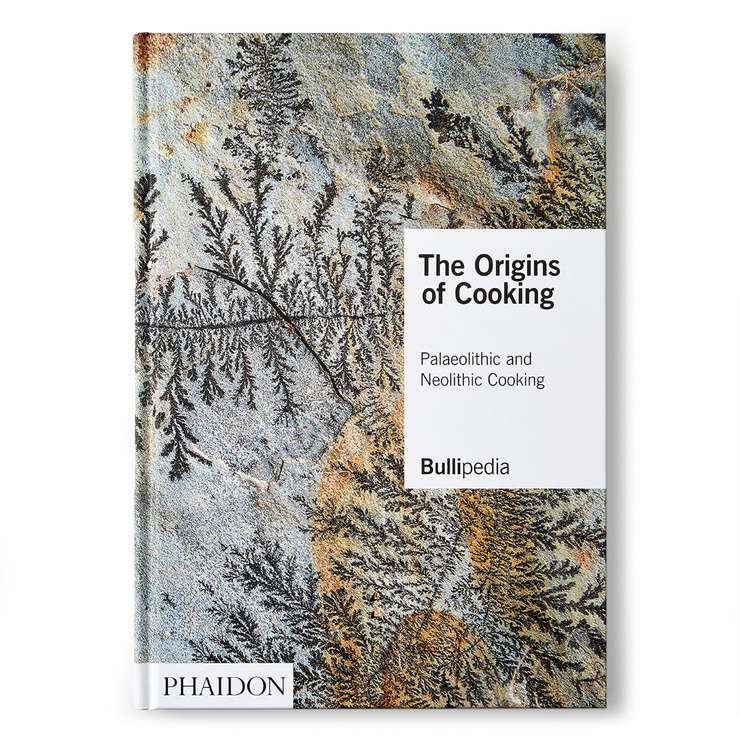 The Origins of Cooking: Palaeolithic and Neolithic Cooking Book