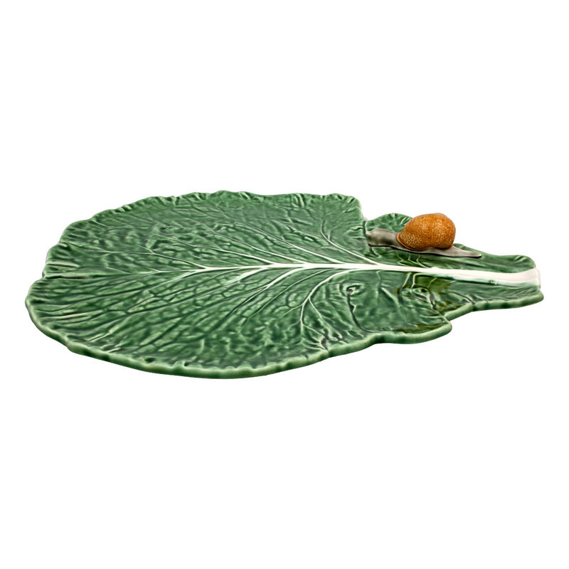 Cabbage Leaf With Snail Green Natural snail