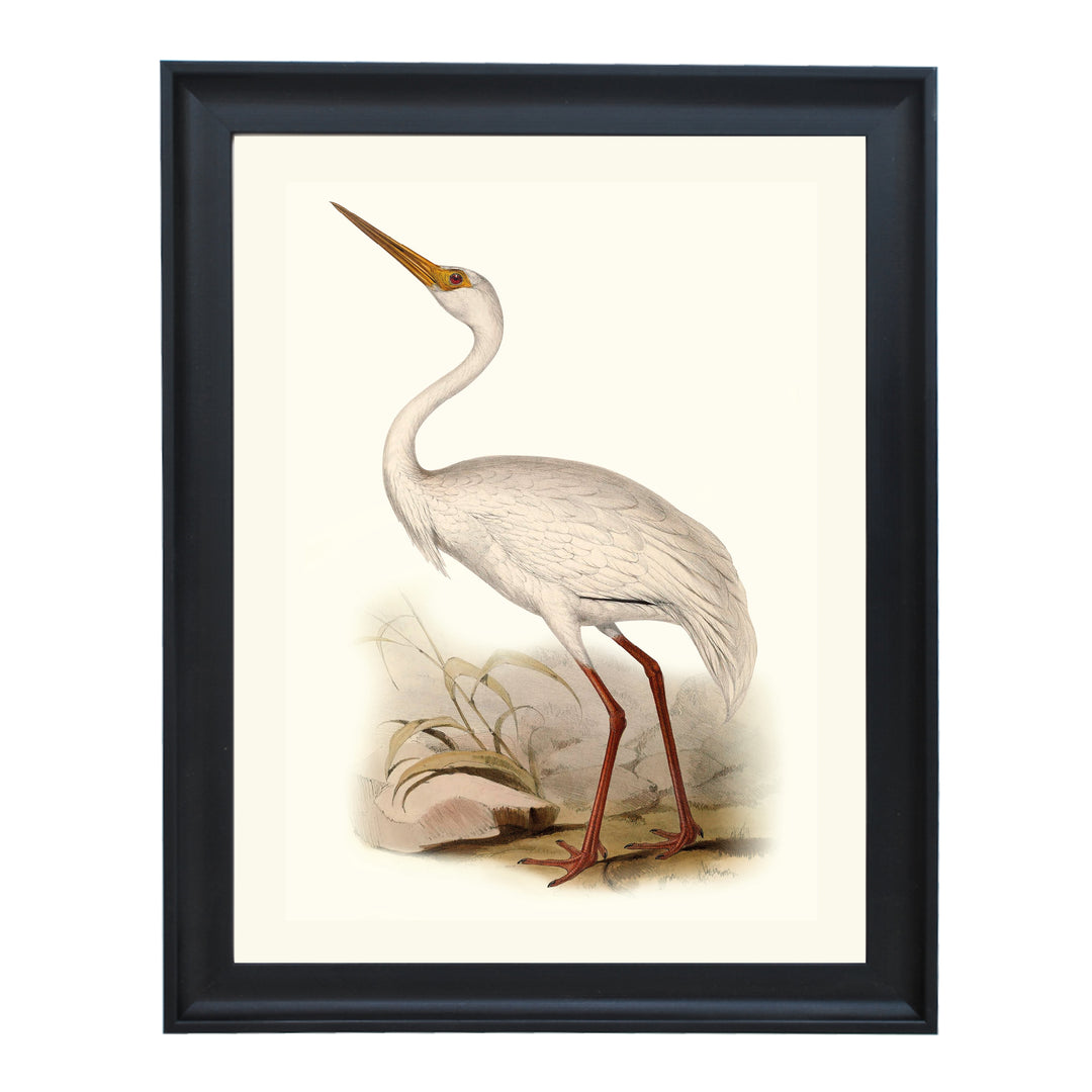 WHITE CRANE ART PRINT