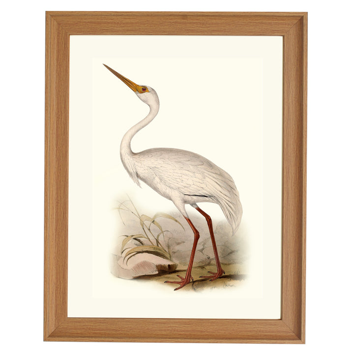 WHITE CRANE ART PRINT