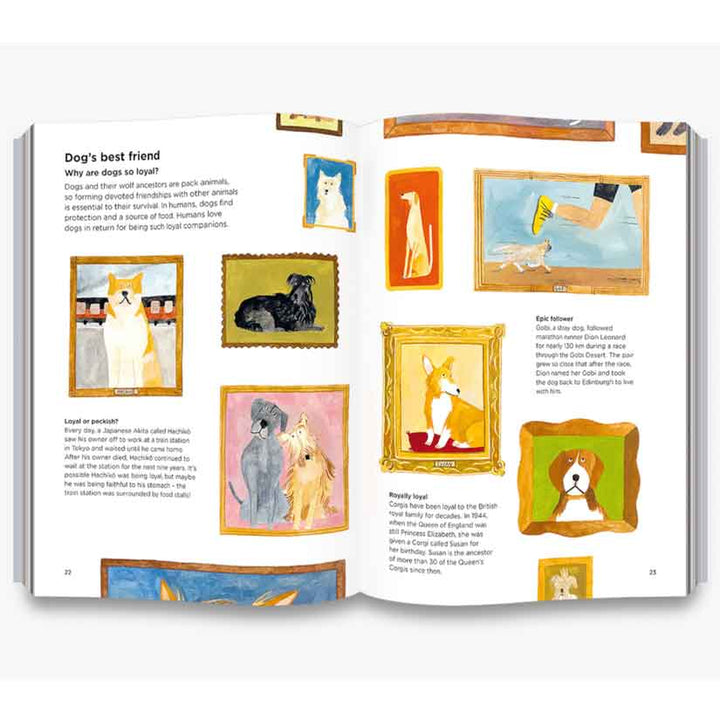 Why do dogs sniff butts? Curious questions about your favourite pet Book