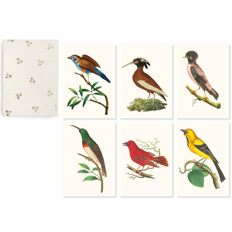 The Bird collection