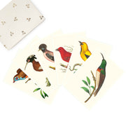 The Bird collection