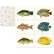 The Fish collection