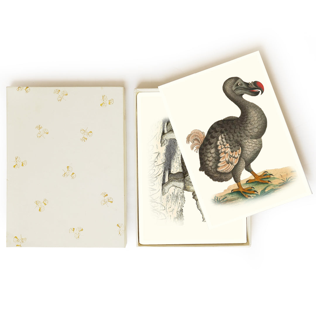 The Animal illustrations