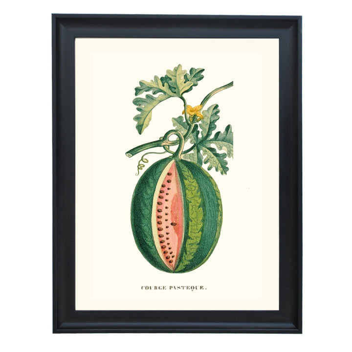 COURGE PASTEQUE ART PRINT