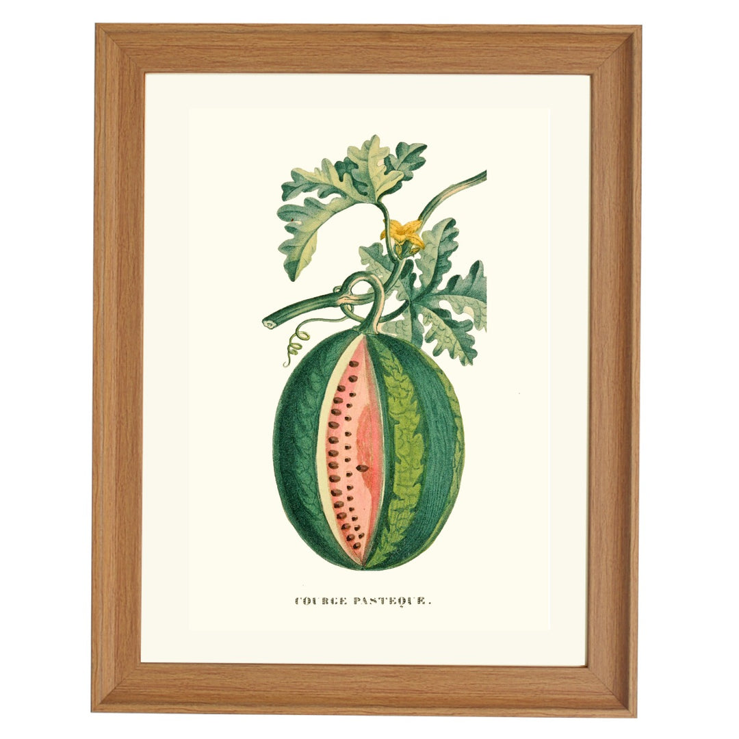 COURGE PASTEQUE ART PRINT