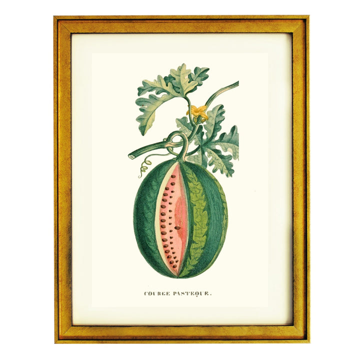 COURGE PASTEQUE ART PRINT