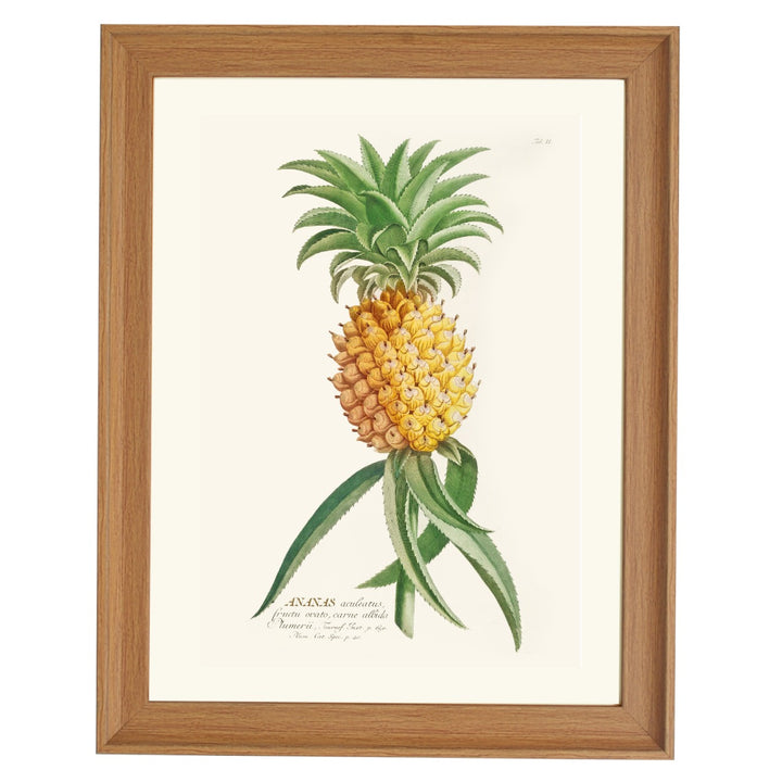 ANANAS ART PRINT