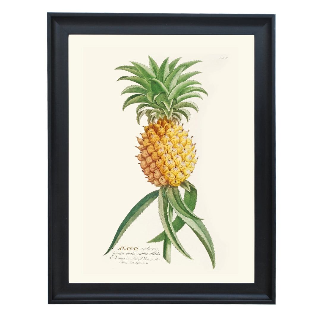 ANANAS ART PRINT