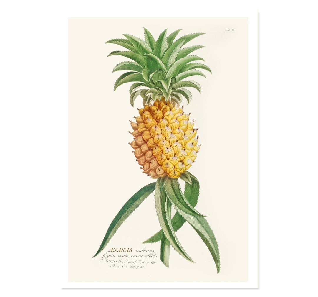 ANANAS ART PRINT