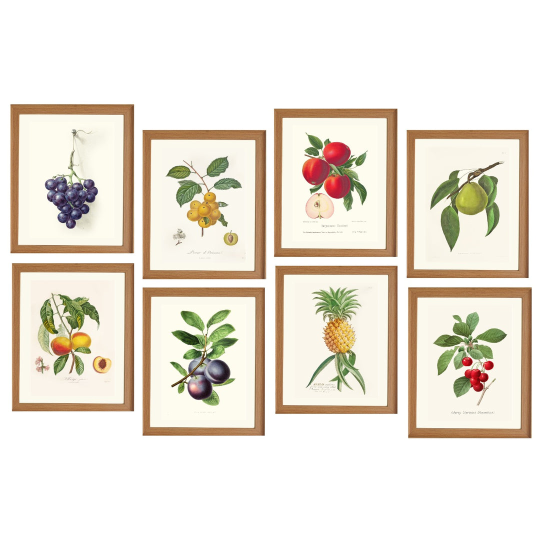 FRUITS Collection