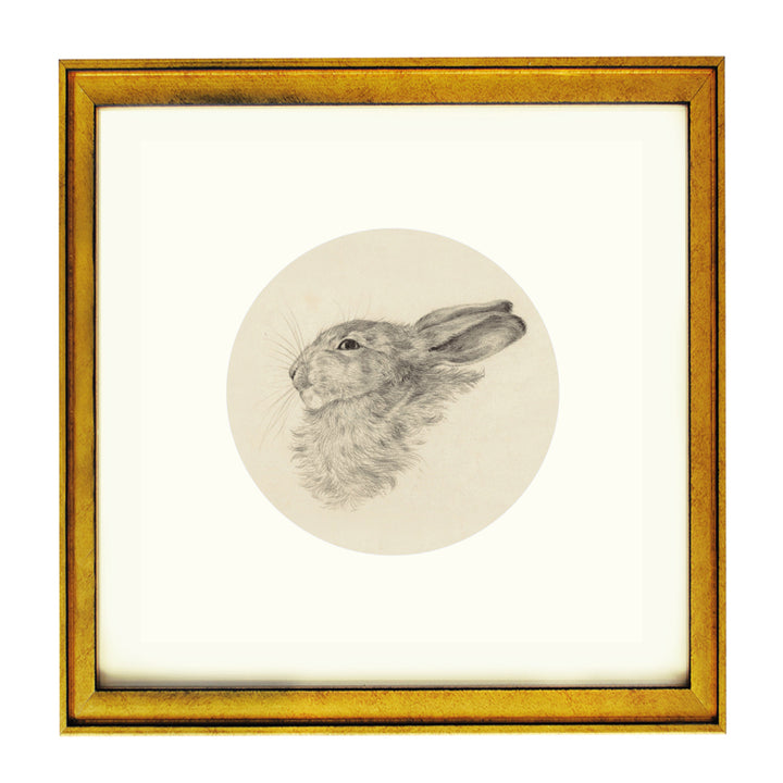 A Rabbit's hare art print