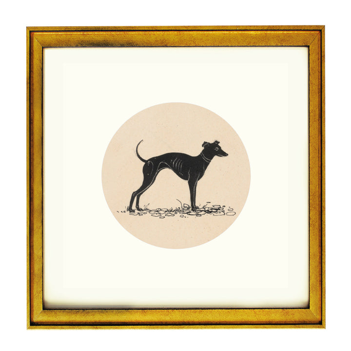 The greyhound art print