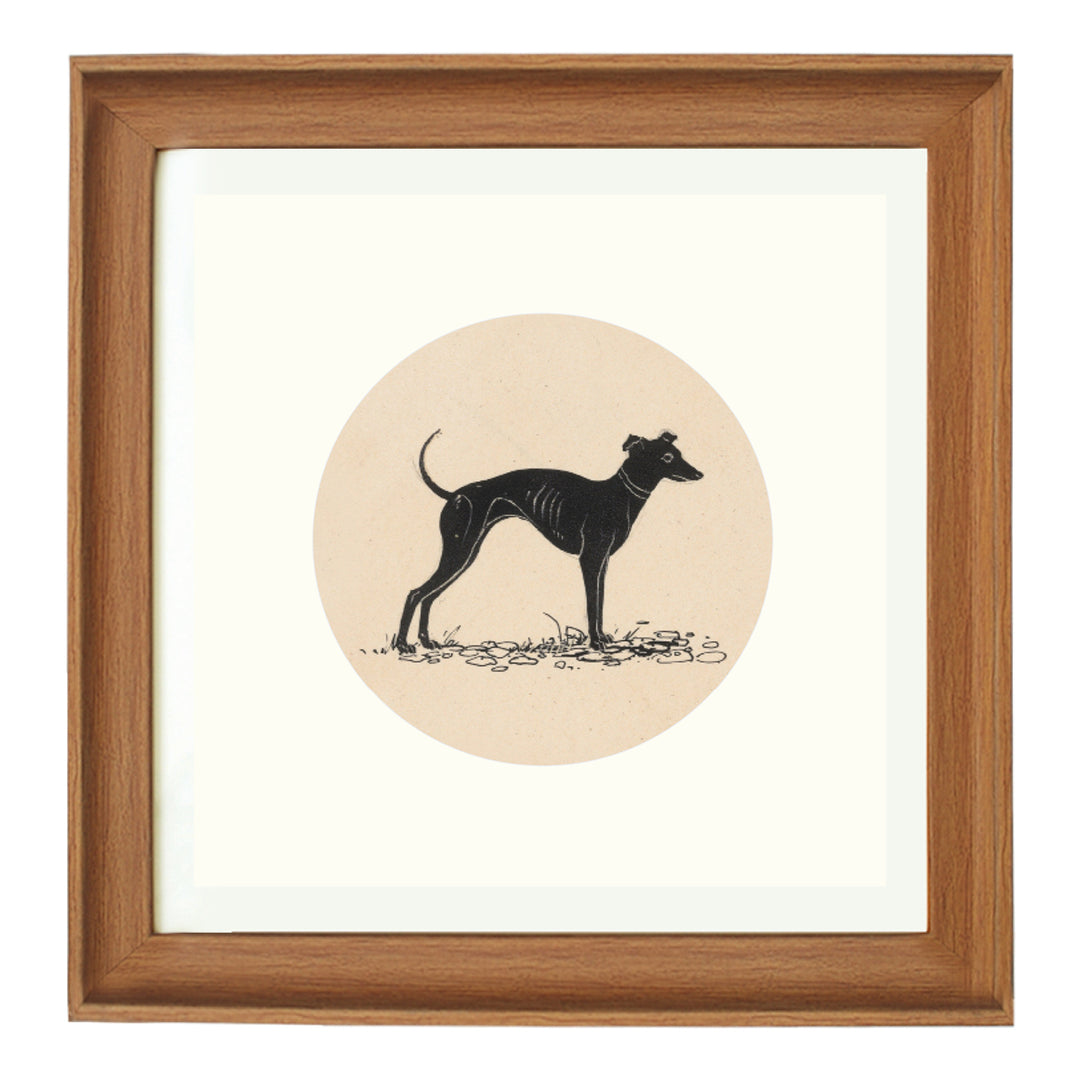 The greyhound art print