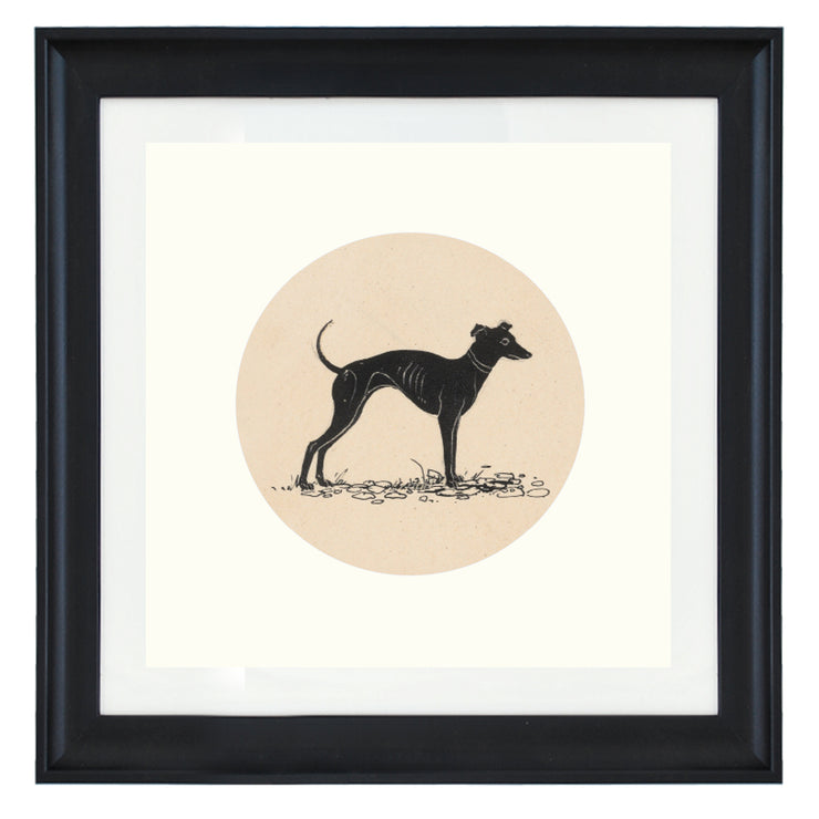 The greyhound art print