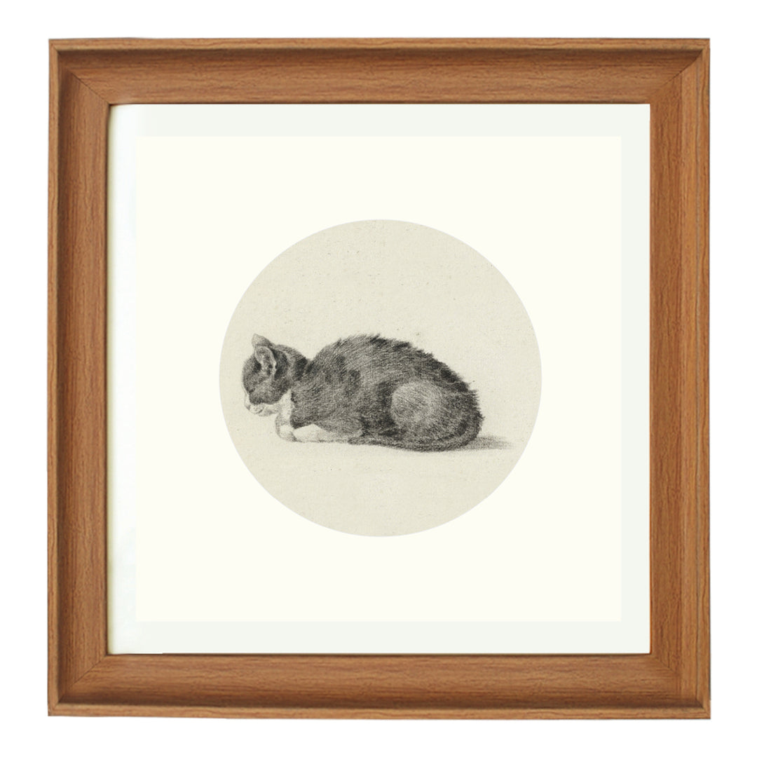 Sleeping cat art print