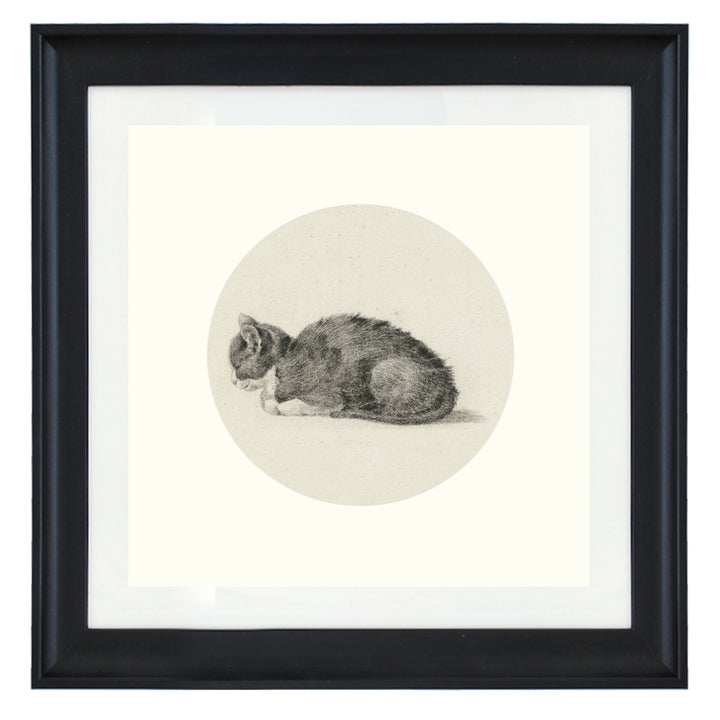 Sleeping cat art print