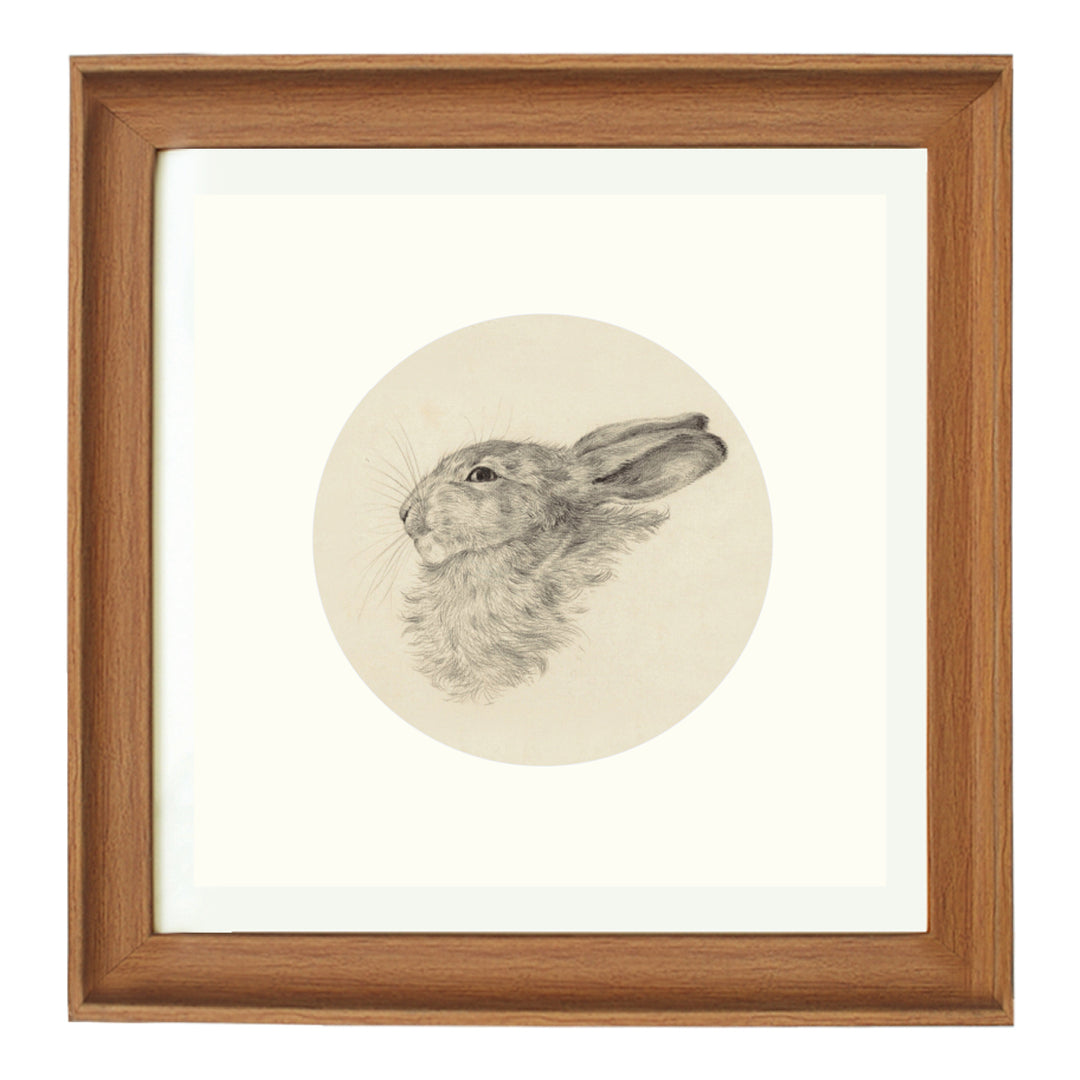 A Rabbit's hare art print