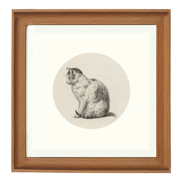 A cat sitting poised art print