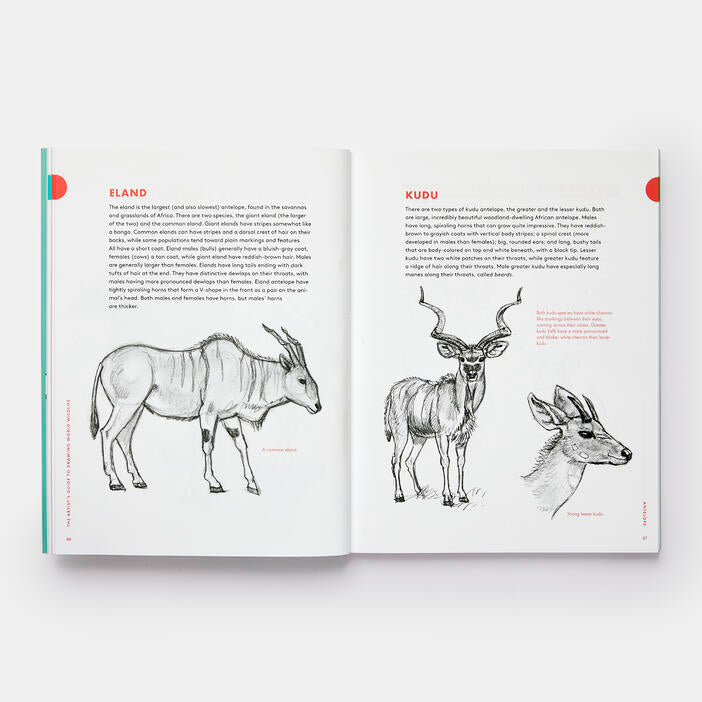 Artist's Guide to Drawing World Wildlife Book