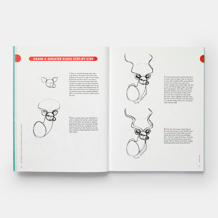 Artist's Guide to Drawing World Wildlife Book