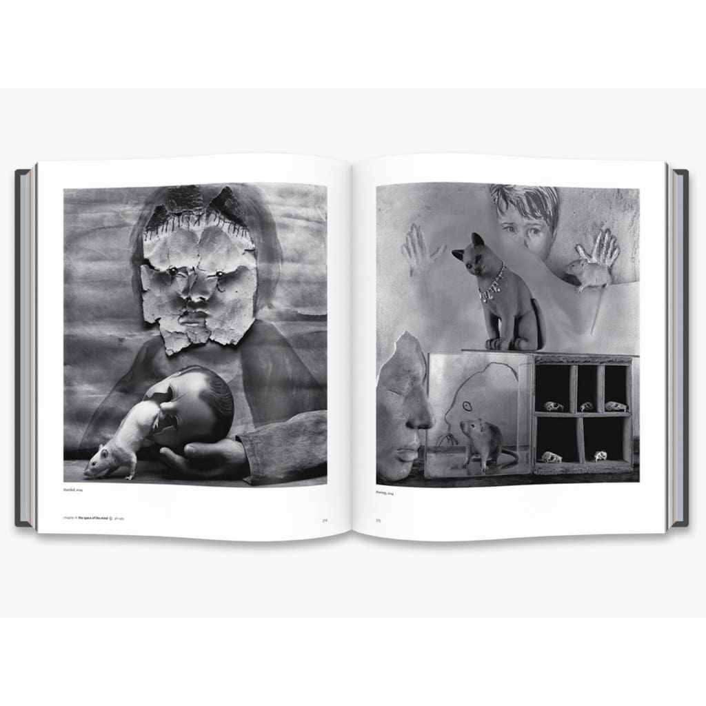 BALLENESQUE: ROGER BALLEN: A RETROSPECTIVE