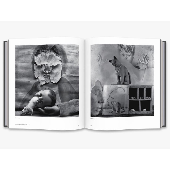 BALLENESQUE: ROGER BALLEN: A RETROSPECTIVE
