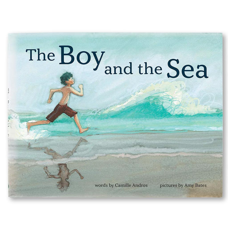 The Boy and the Sea Book