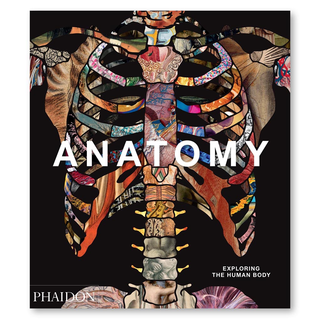 Anatomy: Exploring the Human Body book