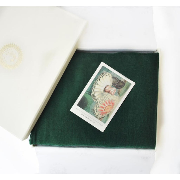 Eppie Trou Shawl Scarf