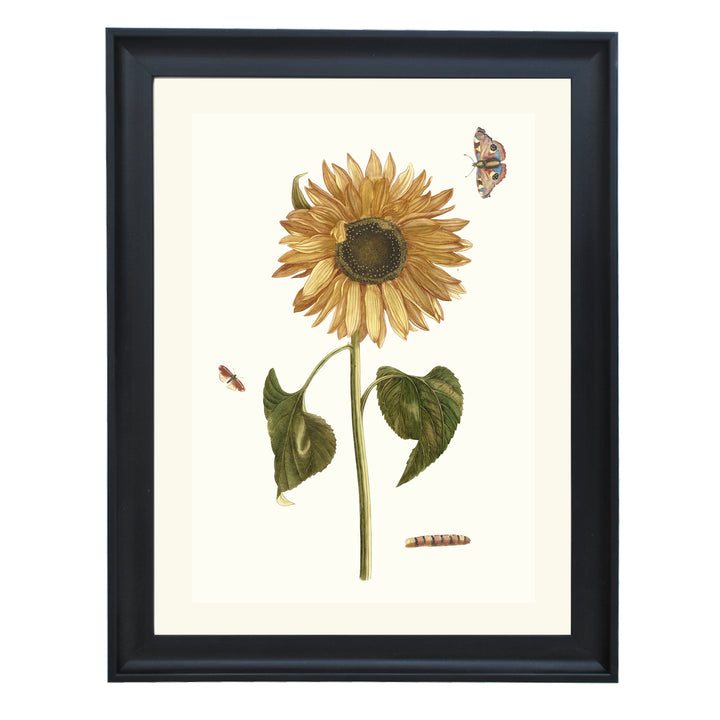 Sunflower, caterpillar and two butterflies by Johan Teyler ART PRINT