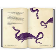 MONSTERS : A BESTIARY OF THE BIZARRE