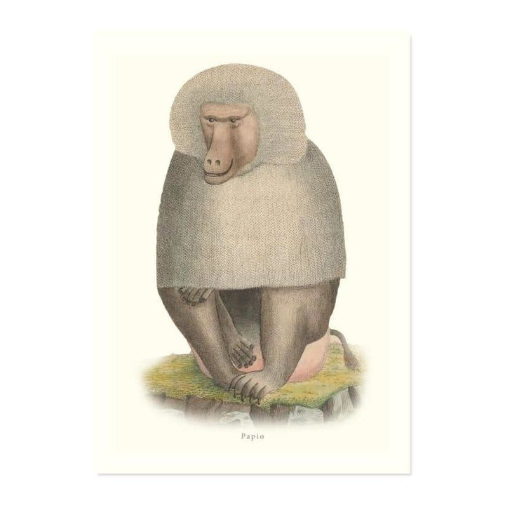 Papio ART PRINT - Art prints