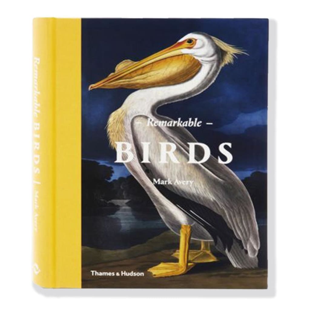 REMARKABLE BIRDS