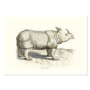 Rhinoceros ART PRINT - Art prints