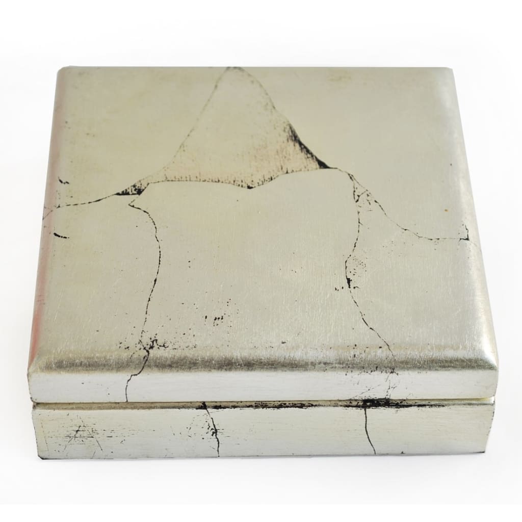 Silver Coin Box (5 coins) - COIN BOX